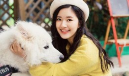 娱乐圈爆料短腿小花,逆袭之路，星光熠熠