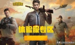 和平精英爆料壮哥视频,揭秘游戏新动态与精彩瞬间